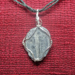 Wire Wrapped Fossil Trilobite