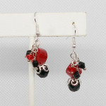 Red and Black Crystal Drops